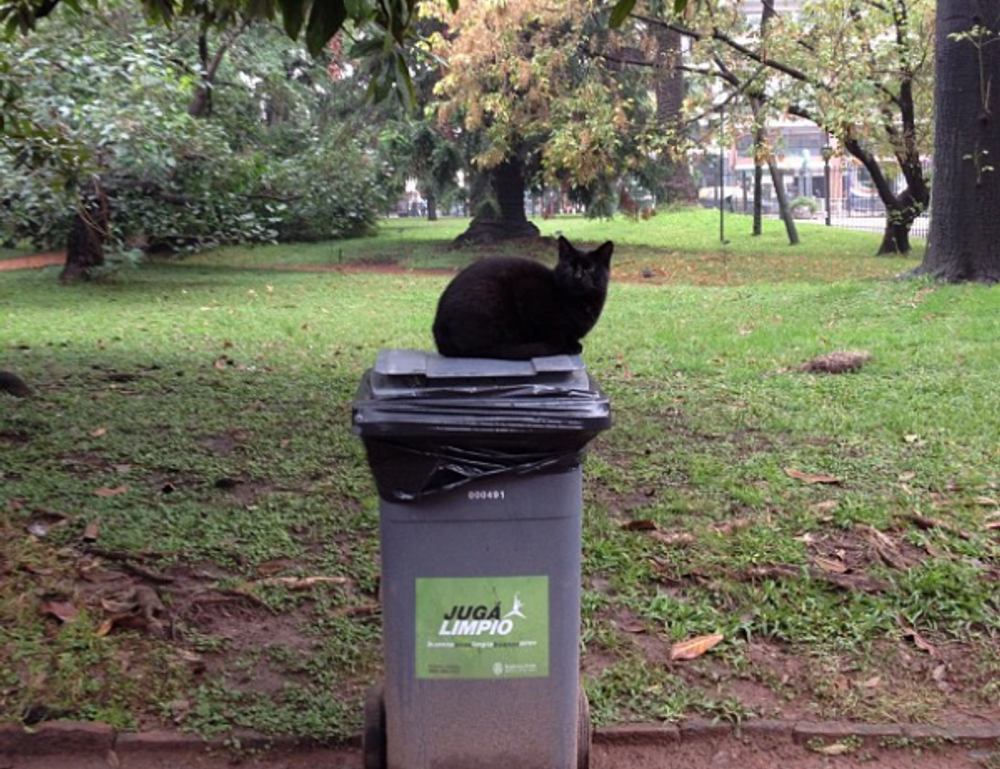 free mark directories flpstampive