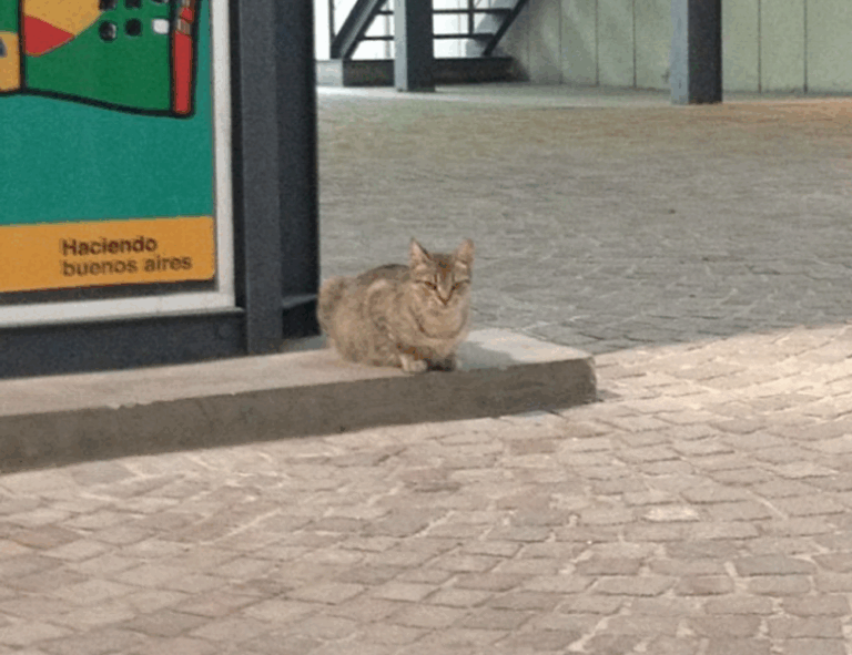 how to create a logo file flpstampive