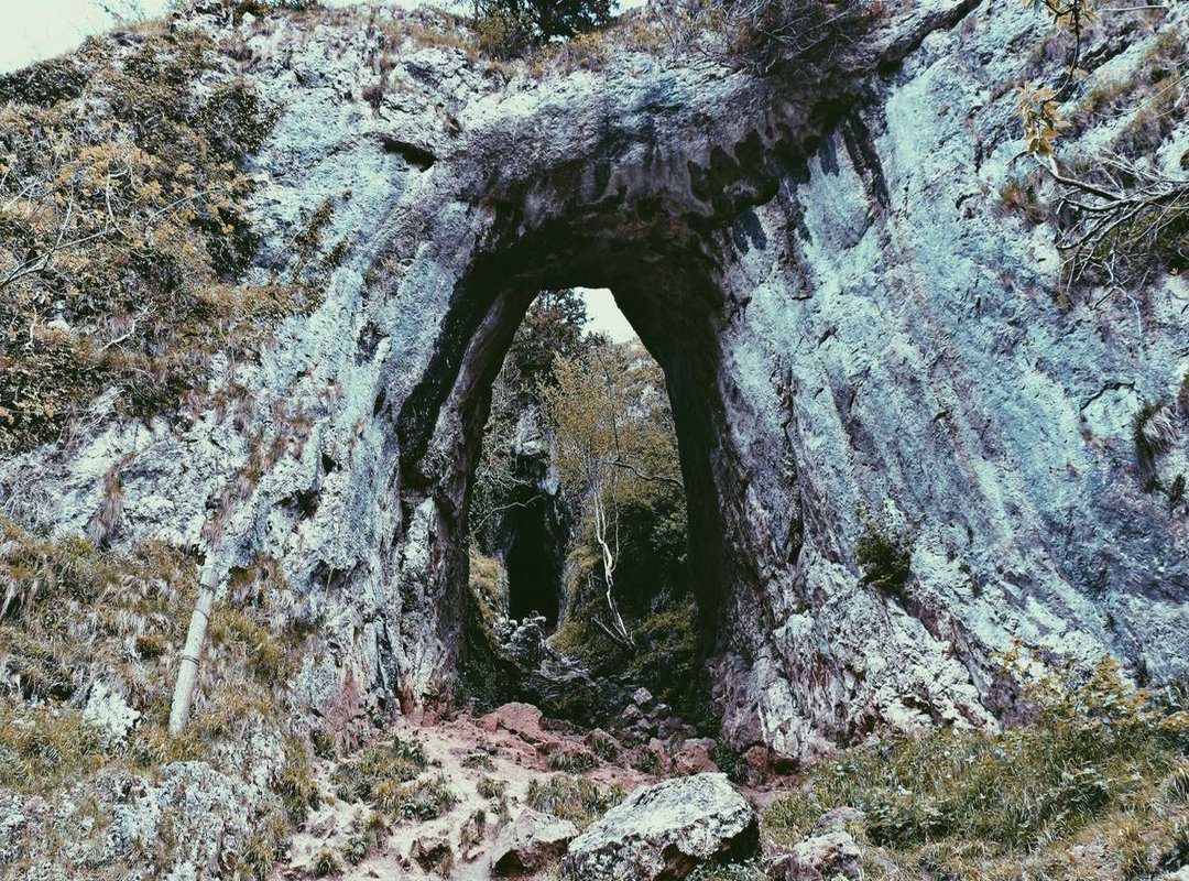 Debunking the Hoax: Was There Any Real Danger?