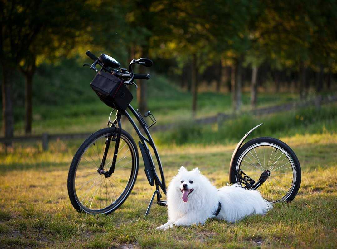 Plot Twists and Revelations