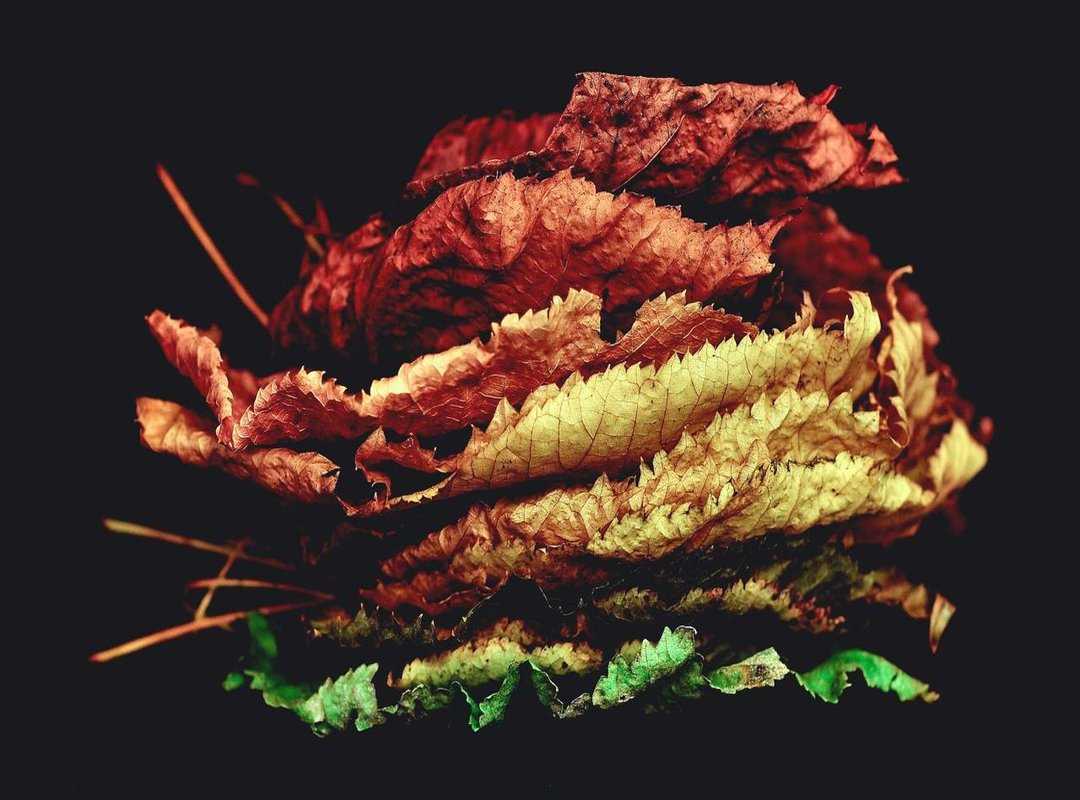 Advanced Statistics: Efficiency and Impact