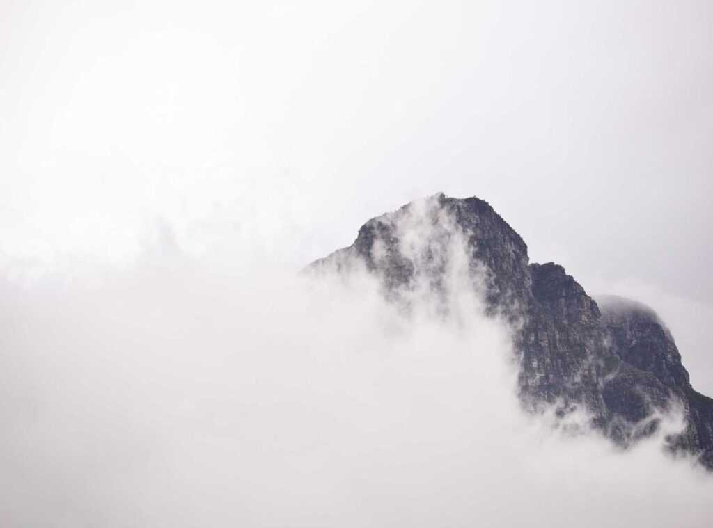 escuderia yamaha - motogp