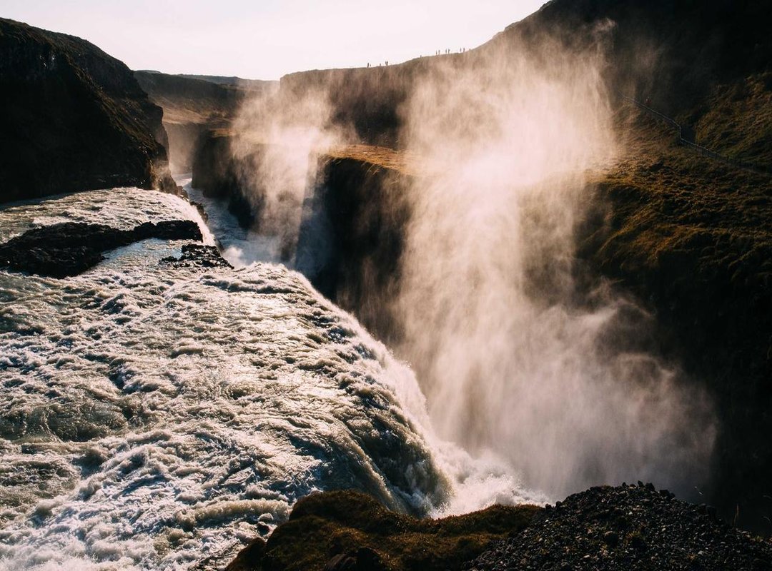 Coloring Buzz: Official Colors and Creative Ideas