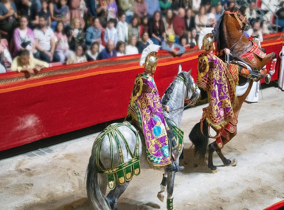 Visibility and Representation in Media and Culture