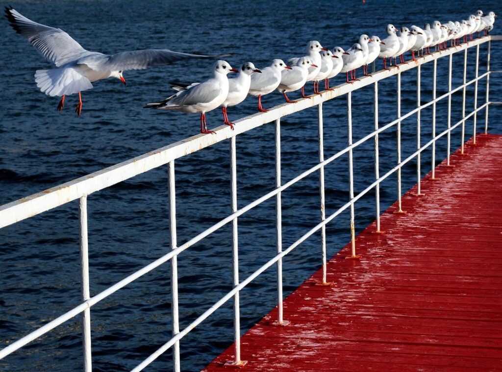 pixel art tekenen op ruitjespapier