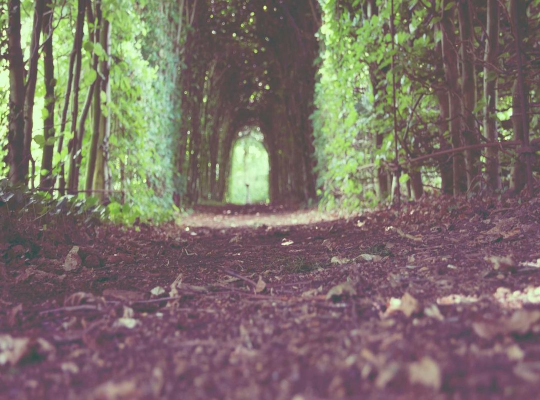 Expanding the Family: Children from Other Relationships