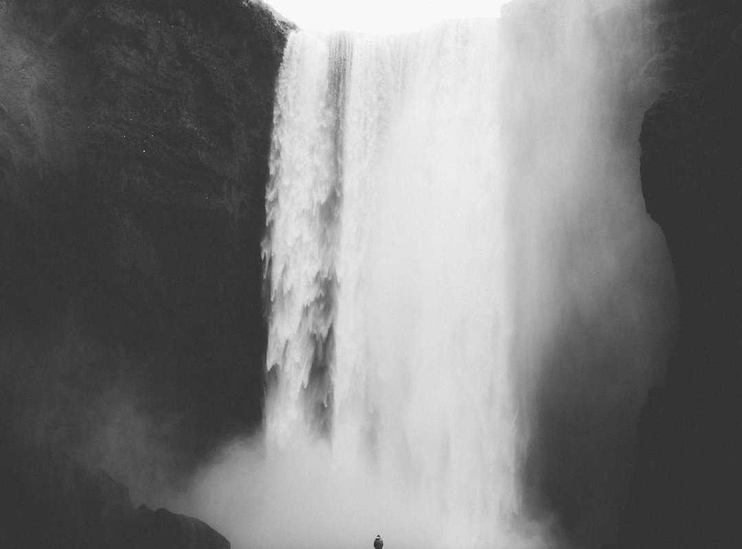 How to Make a Classic Sri Lankan Leek Curry: A Step-by-Step Guide